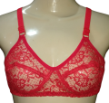 Seamless Net Bra For Women Transparent Bra , Jaali Braziers. 