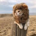 Cute Pet Cosplay Clothes Wig Emulation Transfiguration Costume Lion Hair Mane Ears Head Cap For Pet Cat Dog Dress Up Photo Props. 