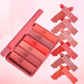Pack Of 6 Mini Matte Lipstick Set High Quality Makeup Nourishing Matte Organic Lipstick Shade Kit With Mirror Mini Lipstick Makeup Kit Pocket Friendly Long-Lasting Lip Kit With Mirror Brown & Pink. 