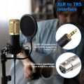 Neewer® NW-800 Professional Studio Broadcasting & Recording Microphone Set Including (1)NW-800 Professional Condenser Microphone + (1)Microphone Shock Mount + (1)Ball-type Anti-wind Foam Cap + (1)Microphone Power Cable (Black). 