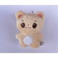 Kpop Idol IVE Yujin Wonyoung Rei Animal Doll Plush Doll Stuffed Toys. 