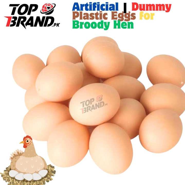 Pack of 6 Artificial Plastic Eggs for Broody Hen | Chicken Eggs | Dummy Eggs