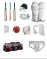 Full Cricket Kit (Hard Ball Bat + Hard Ball + Gloves + Cricket Kit Bag + Helmet + Under Guard + Leg Pads + Elbow Pads + Thigh Pads). 