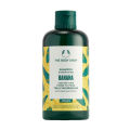 The Body Shop Banana Truly Nourishing Shampoo (250ML). 