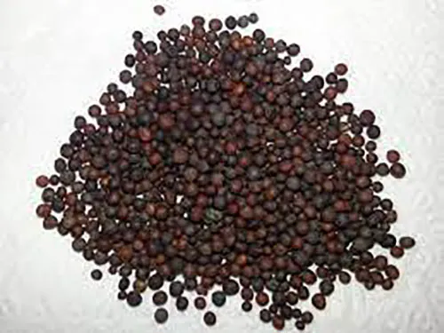 Black%20Mustard%20Seeds%20(Rai)%20100gm%20-%20Image%202