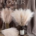 Artificial Flowers / Beige Purple Bouquet / Desktop Ornaments / Artificial Pampas Grass / Artificial Fluffy Reed / Wedding Garden Bedroom Decoration. 