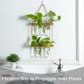 Glass Hanging Planter Terrarium – Hydroponic Test Tube Vase with Wooden Hanger & Rope for Green Plants, Flowers, Home & Office Décor By Padini Collection. 