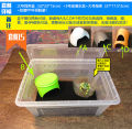 Green Gold Butterfly Bullfrog Horn Frog Package Breeding Box Professional Special Reptile Breeding Box Sponge Frog Mud. 