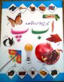 My first learning Urdu Alphabet (Urdu Qaidaa) premium quality| big size pictures. 