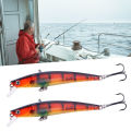 Artificial Lure Sharp Hook Fishing Bite Long Tongue Minnow. 