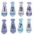 Tie Baby Boy Monthly Milestone Stickers Belly Stickers 12 Months and 12 Bonus Milestones Stickers. 
