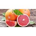 Grapefruit Imported Ruby Red Seeds Fresh Imported Hybrid Organic (50 SEEDS). 