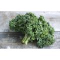 Curly Kale Green Seeds for Kitchen Gardening - Leafy Green Kale. 