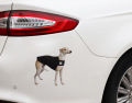 Cute Naughty Whippet Tummy Warmer Dog Vest Motorcycle Car Stickers Waterproof Anime Decals Vinyl Material Decoration13x12.7cm. 