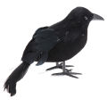 Halloween Black Crow Props Realistic Raven Spooky Feathered Crows House Decor Sunlight Super Store. 