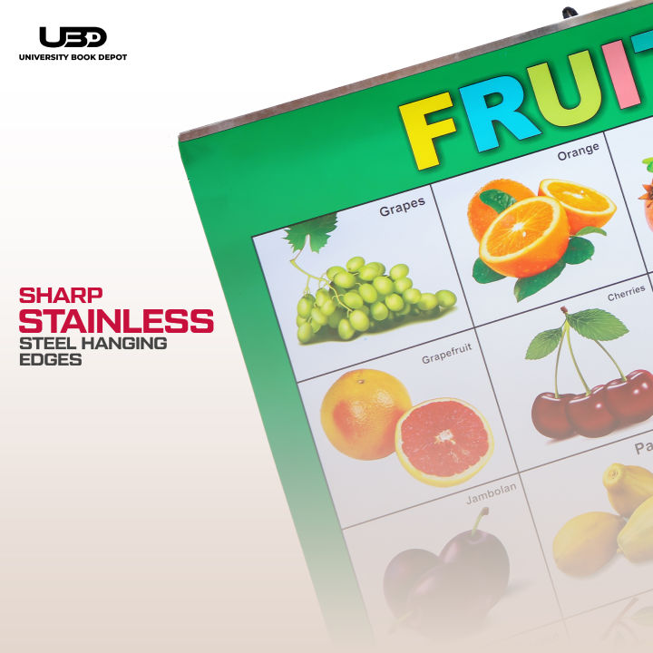 Pack%20of%208%20Wall%20Charts%20for%20Classrooms%20and%20Preschool%20Decoration%20%7C%20Wall%20Posters%20with%20HD%20Pictures%20for%20Kids%20Early%20Education%20on%20200%20Grams%20Laminated%20Card%2020*30%20inches%20-%20Image%205