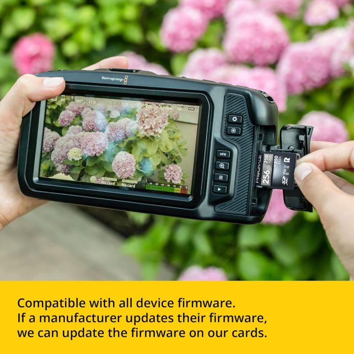 Memory%20Card%20ProGrade%20Digital%20SDXC%20UHS-II%20V60%20%20(256GB),%20Gold,%20(Secure-Digital-Cards)%20-%20Image%206