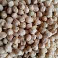 Pure and Organic White Mota Chana 1kg ( Safaid Chana), Extreme Quality. 