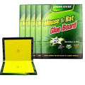 Mouse Glue Traps Sticky Boards. 