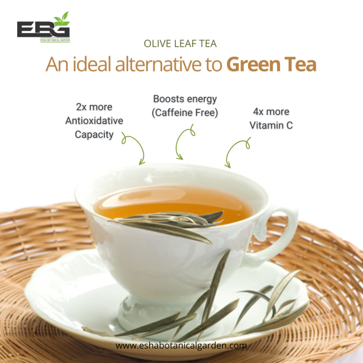 Organic%20Olive%20Leaf%20Tea%2050g%20-%20Image%203