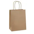 Pack of 10 Paper Bags 8 X 11 X 3 Gift Bags, Party Bags, Shopping Bags, Kraft Bags, Retail Bags, Merchandise Bags, Brown Paper Bags with Handles Bulk 110Grams. 