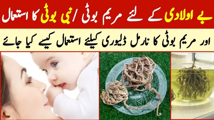 Nabi%20Booti%20powder%2050%20g%20-%20Image%203