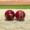 Cricket Weight Ball (500 Garam) Heavy Weighted Ball. 
