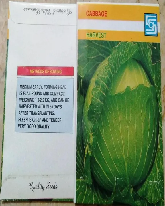Cabbage%20(Variety:%20Harvest)%20-%20Image%204