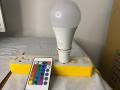 LED RGB Bulb with Remote Control - Dimmable Static Color Light - Fast & Slow. 