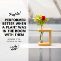 Creative Wooden Glass Tube Vase for home decoration. 