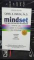 MINDSET NOVEL BY CAROL S. DWECK. 