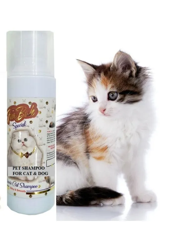 CLASSIC%20CAT%20SHAMPOO%20-%20PERSIAN%20SPECIAL%20CAT%20SHAMPOO%20-%20BEST%20FOR%20ALL%20CATS%20AND%20KITTENS%20-%20100ML%20-%20Image%202