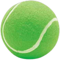 Pack of 1 or 12 Cricket Ball Tennis Balls Extra Bounce. 