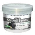Kalonji Seeds Whole (Black Seed, Nigella Sativa) Spice | Sabut  Kalenji Seeds Gluten Friendly | NON-GMO | 100% Pure. 