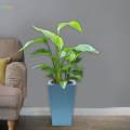 Plant Pot Self Watering Flower Pot with Drainage Holes for Bedroom Kitchen. 
