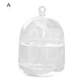 Vase Fishbowl Transparent Hanging Glass Creative Decor Fish Tank for Living Room. 