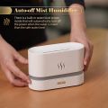 Flame Humidifier and Aroma Diffuser (RGB, 16 colors). 