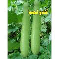Kaddu Lamba (Loki) Summer Vegetable Seeds. 