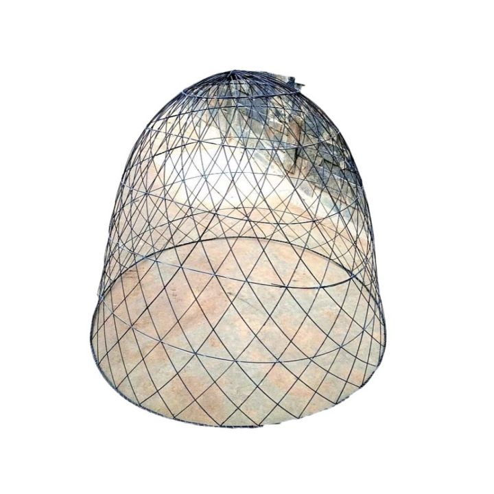 Big Tokra Cage for Aseel Murgh Hens Poultry Chicken