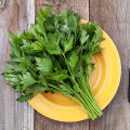 Herb – Parsley Italian Flat - Home Kitchen Gardening Seeds. 