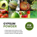 Gypsum Powder for Plants – Soil Amendment & Calcium Source (Available in 250g, 500g & 1kg Packs). 