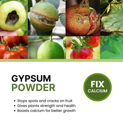 Gypsum%20Powder%20for%20Plants%20%E2%80%93%20Soil%20Amendment%20&%20Calcium%20Source%20(Available%20in%20250g,%20500g%20&%201kg%20Packs)%20-%20Image%205