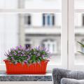 decoration Pack of 2 Plastic Kiari for plants and flower growing dia 17 x 8 inch, height 5.50 inch (SG-151). 
