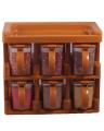 Spice Jars Rack, Masala Jars Box Set ( 6 Pieces ), Wall Mountable (random colours)| SJR Collections. 