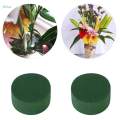 10x Round Floral Foam Blocks DIY Green Plant Foam for Wedding Birthday Decor. 