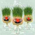 Grass Head Doll Educational Toys For Kids -Small Potted Ornaments with Cultivation Medium Toys For Girls - Mini Grasshead Hair Grow Toy Gardening Decoration items. 