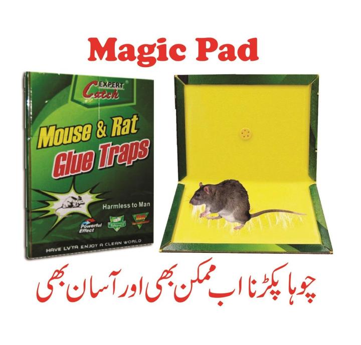Pack%20of%206%20Mouse%20Trap%20-%20Mouse%20Trap%20Glue%20-%20Mouse%20Trap%20For%20Big%20Mouse%20-%20Mouse%20Trapper%20-%20Rat%20Killer%20Glue%20-%20Rat%20Killer%20&%20Mouse%20Catcher%20-%20Rat%20Killer%20Glue%20Mat%20Best%20For%20Kitchen%20,%20Office%20,%20Bedrooms%20,%20Bathrooms%20By%20Active%20Clean%20-%20Image%203