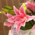 1 Pc 3 Heads Sweet Artificial Flower Fake Lily Floral Home Wedding Party Decor. 