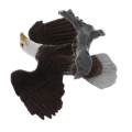 【Happier】 TOOYFUL Plastic Realistic Wildlife Jungle Forest Animals Bald Eagle Action Figure Toys Playset, Kids Toddler Nature Toys Home Decor Collectibles. 
