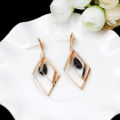 Pinduoduo with the same Korean temperament fashion black crystal stud earrings women's simple and versatile personality diamond earrings ear accessories. 